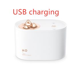 Wireless Mini USB charging sprayer